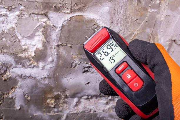 Best Certified Mold Removal  in Clarendon Hls, IL