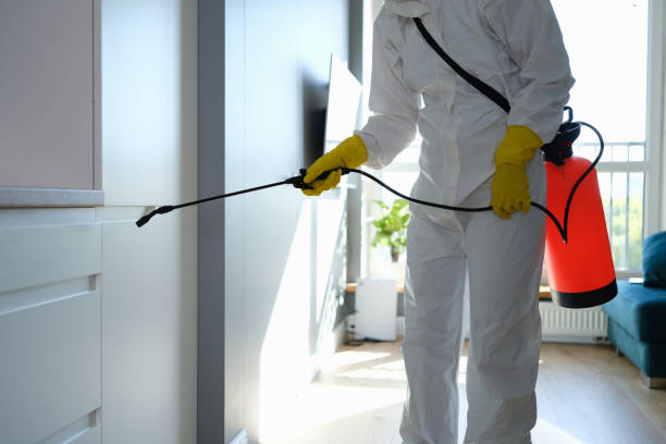 Best Mold Removal Process  in Clarendon Hls, IL