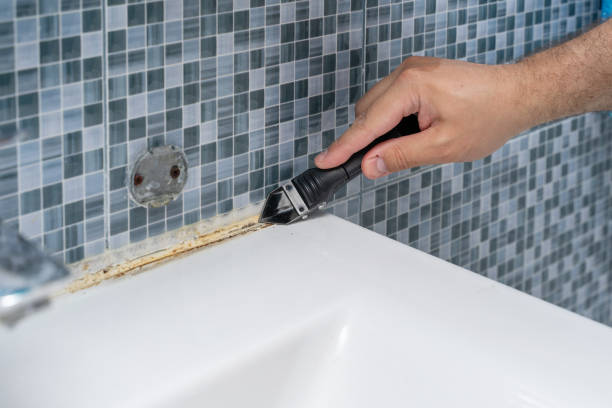 Best Mold Removal Company Near Me  in Clarendon Hls, IL