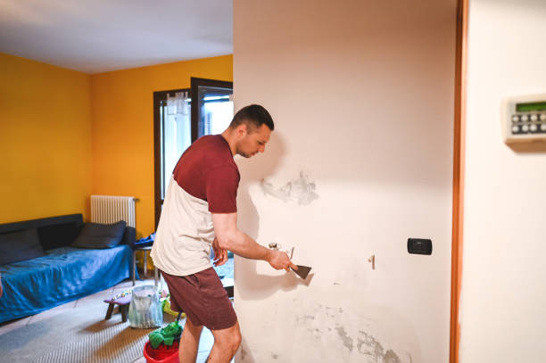 Best Professional Mold Removal  in Clarendon Hls, IL